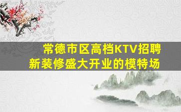 常德市区高档KTV招聘新装修盛大开业的模特场